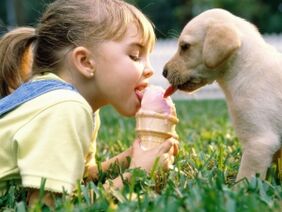 unha nena come xeado cun can e inféctase de parasitos